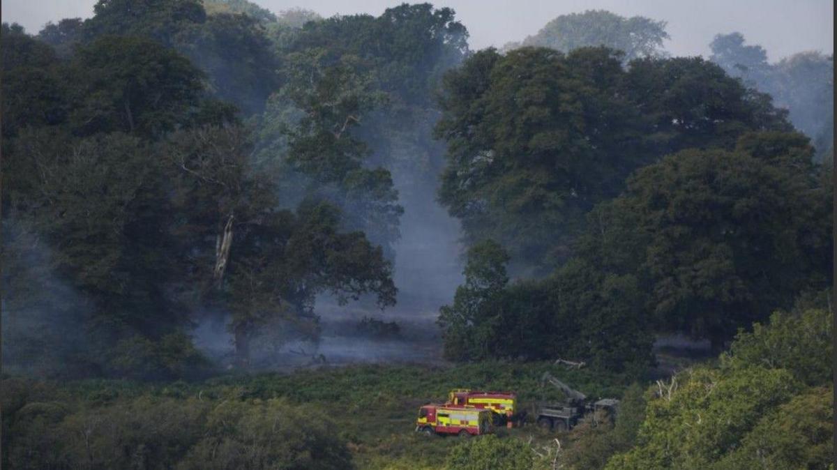 Smoke can still be seen rising from dense heathland and woodland in the New Forest.