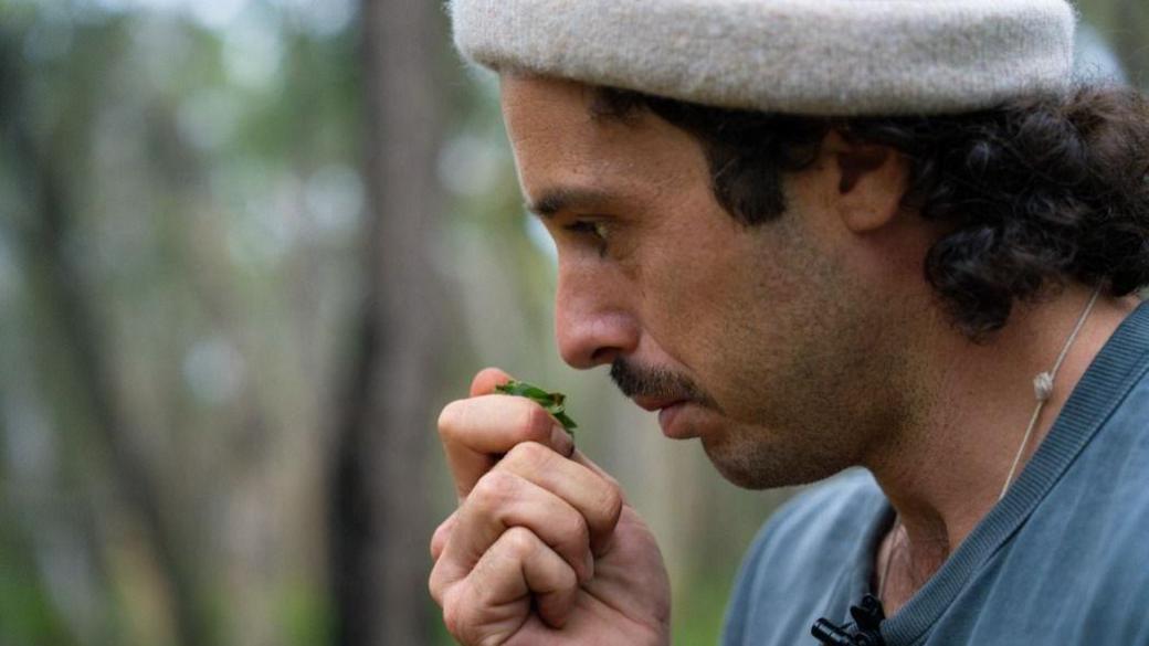 Side profile of a man, with dark brown hair and a light-coloured beanie, holding a scrunched up leaf to his nose with a blurred forest in the background