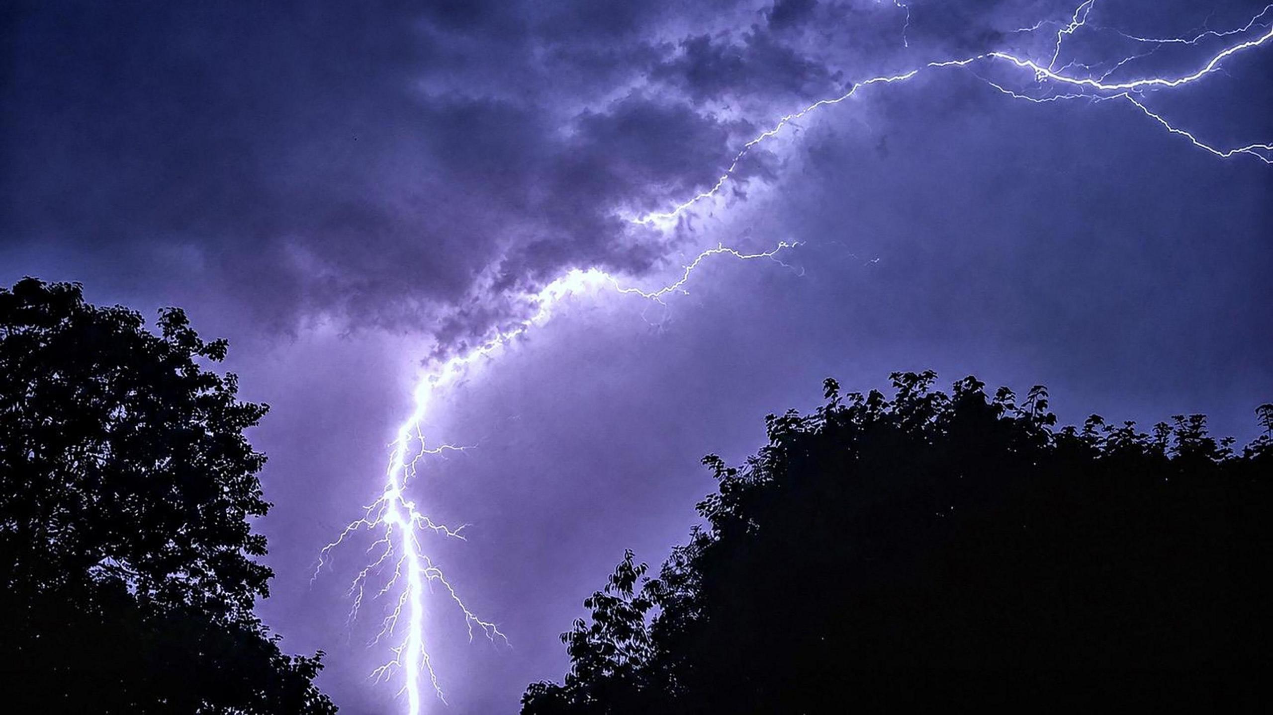 A white bolt of lightning lights up a dark purple, cloudy sky with silhouettes of trees in the foreground.