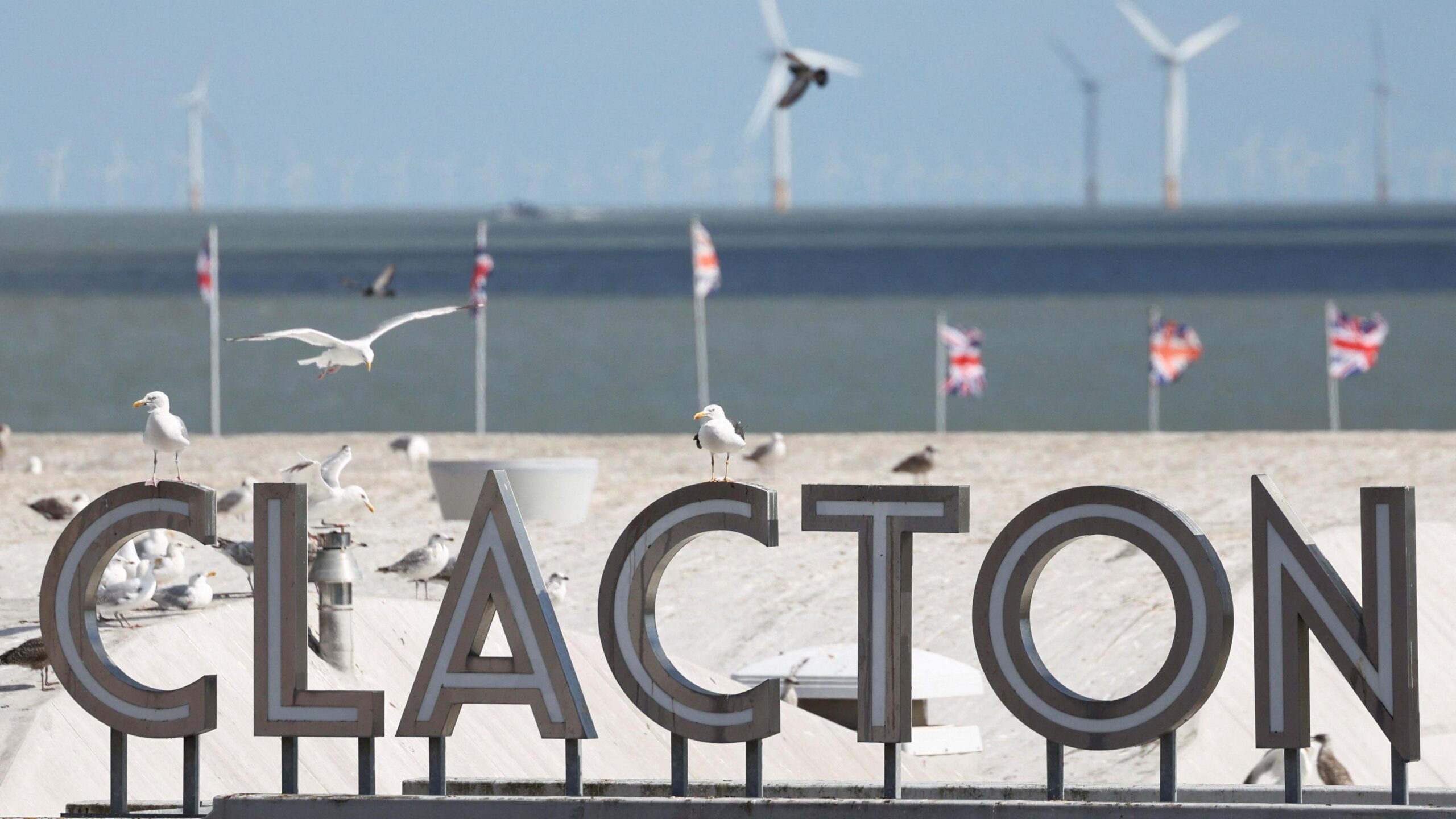 Seagulls perch on and fly above a sign that reads "CLACTON". In the background, six union jacks are flying. Beyond that is the sea and a number of wind turbines.