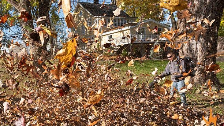 Leaves fly everywhere as a man uses an leaf blower