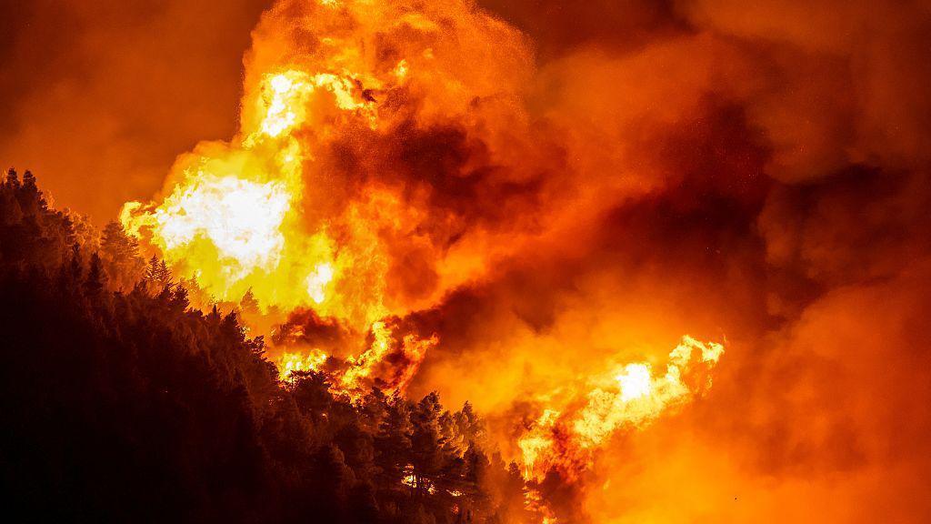 A wooden area is enfulfed in flames during a raging wildfire near the town of Omiš