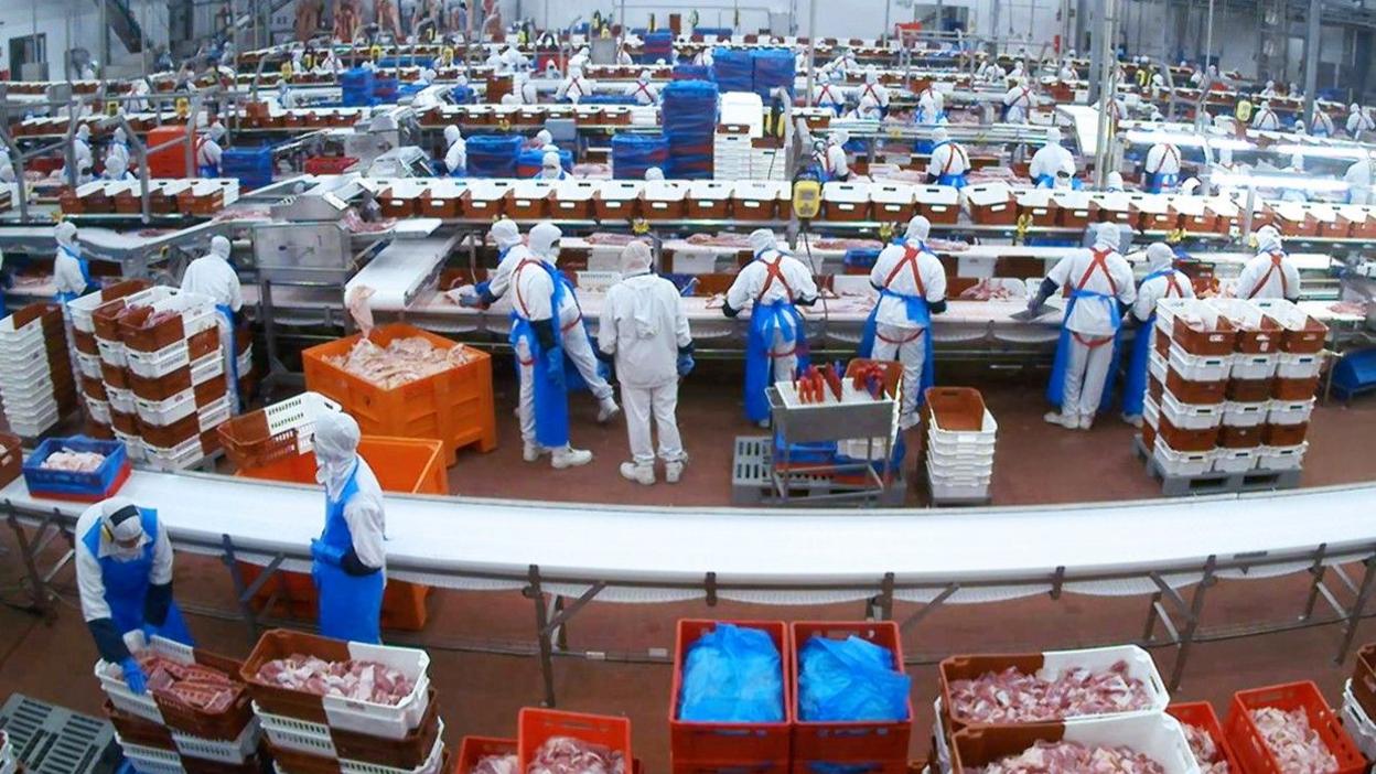 Dozens of workers stand at production lines at Spanish meat processing firm Fibrin