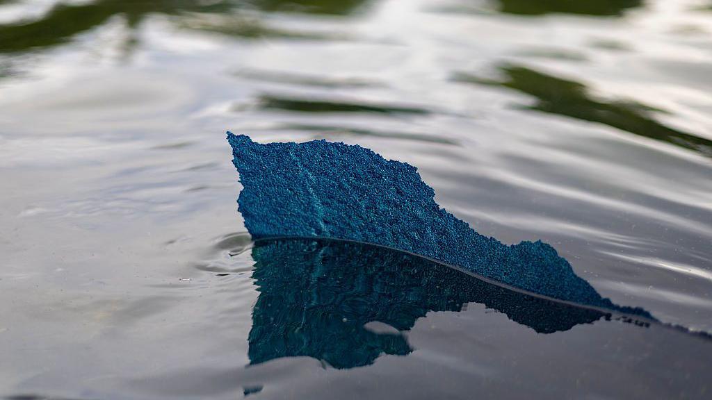 A piece of the new blue paint with a ragged edge, is seen above the water