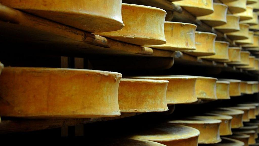 Beaufort cheese wheels stored in a cellar in eastern France. Archive photo