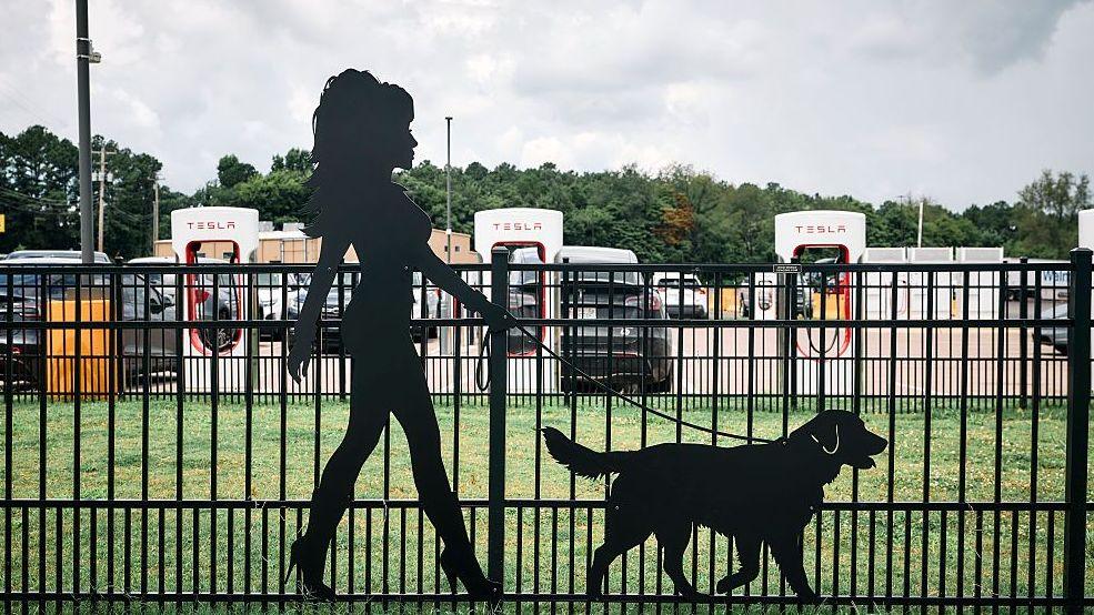 This is the fence at Doggy Parton's dog park at Dolly's Tennessean Travel Stop in Cornersville