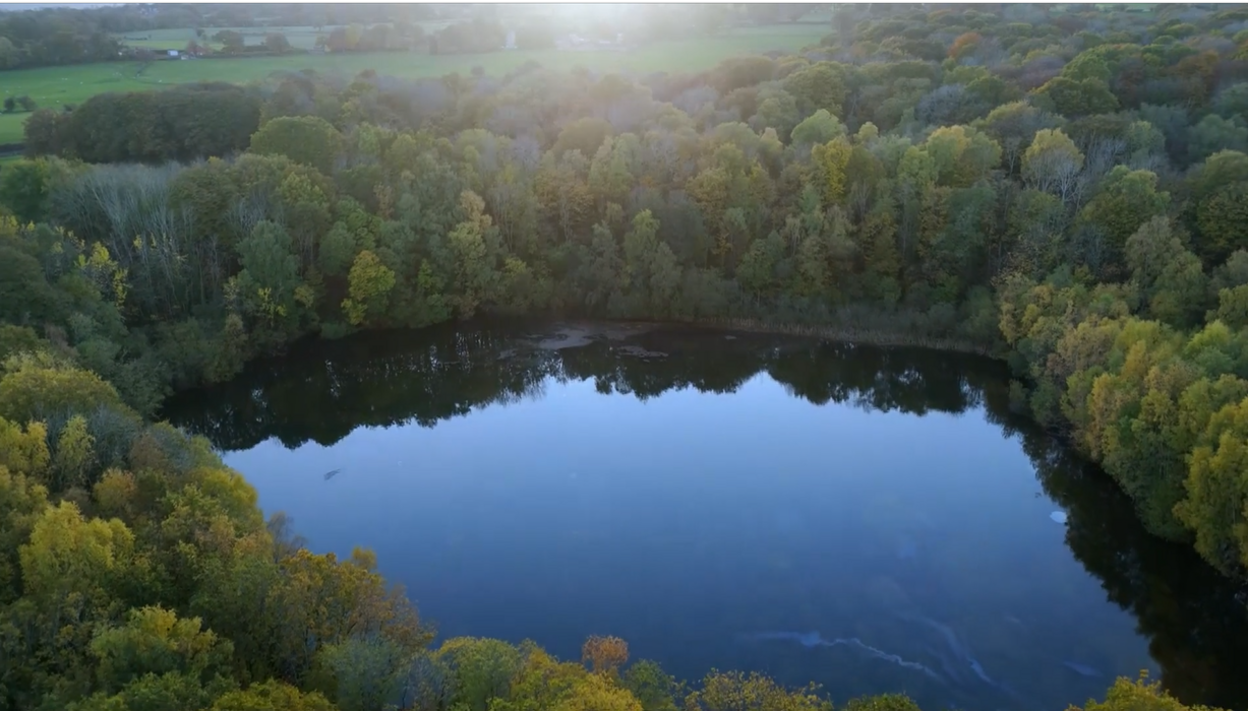 A lake is enclosed by green trees, a sheen is visible on the surface