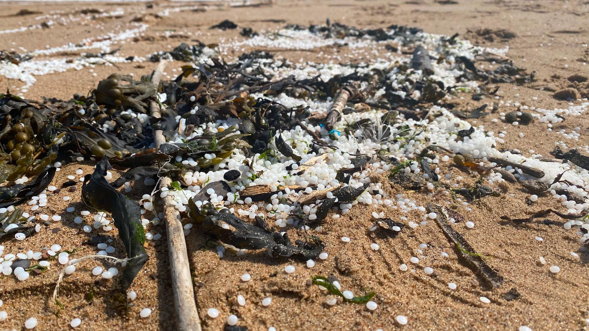 Small, white nurdles - little pellets of plastic - are scattered on wet, dark ochre coloured sand, mixed in with sticks, dark green seaweed and stones. Some of the pellets are clustered together and some are scattered more sparsely and there are similar piles beyond.