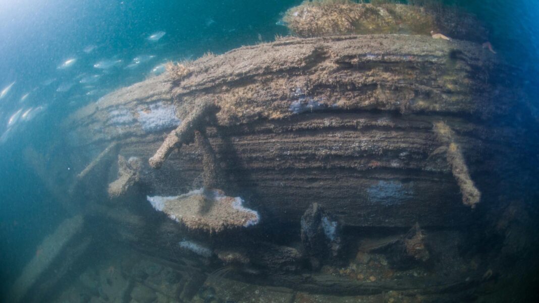 Divers find 162-year-old Guinness in shipwreck off the English coast Divers find 162-year-old Guinness in shipwreck off the English coast