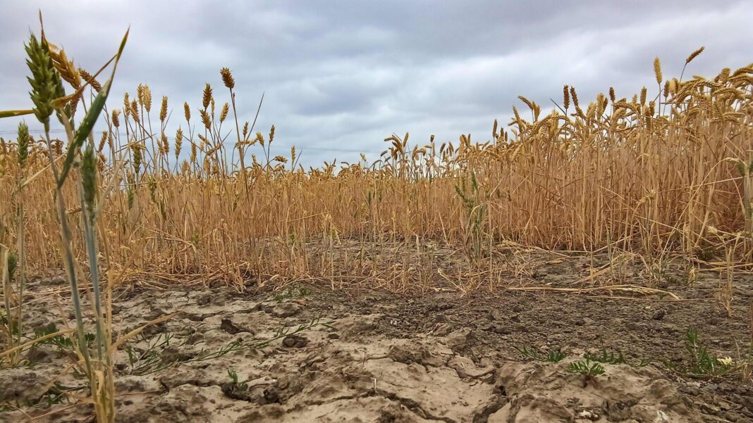 Driest July on record for England and Wales Driest July on record for England and Wales