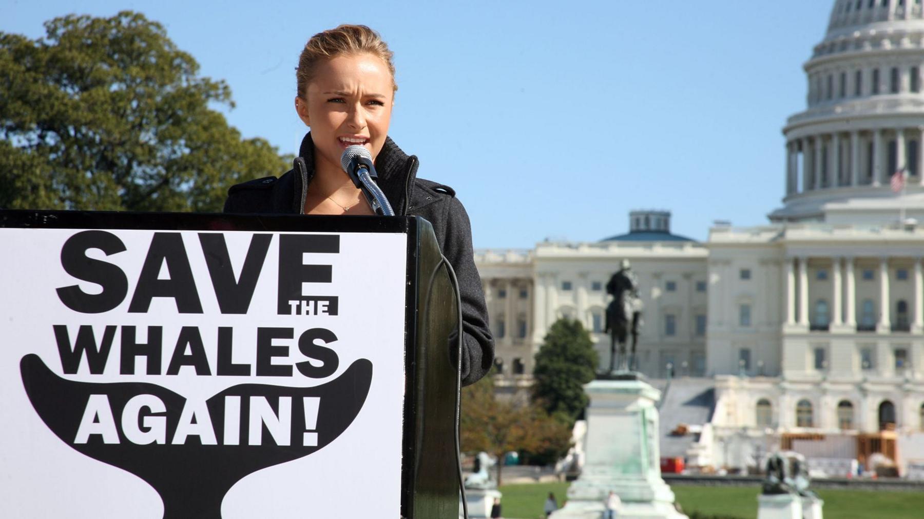 Hayden Panettiere speaks at a press conference for ''Save The Whales Again'' on October 26, 2008 in Washington, DC.