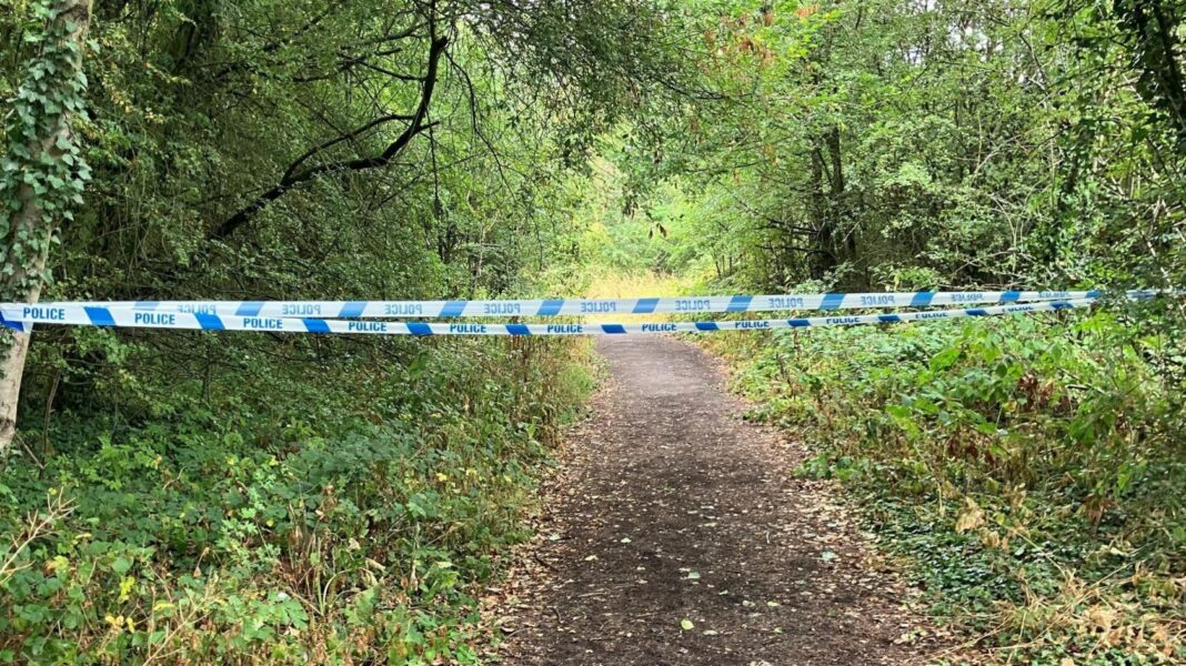 Man charged with manslaughter after man bitten by dog dies Man charged with manslaughter after man bitten by dog dies