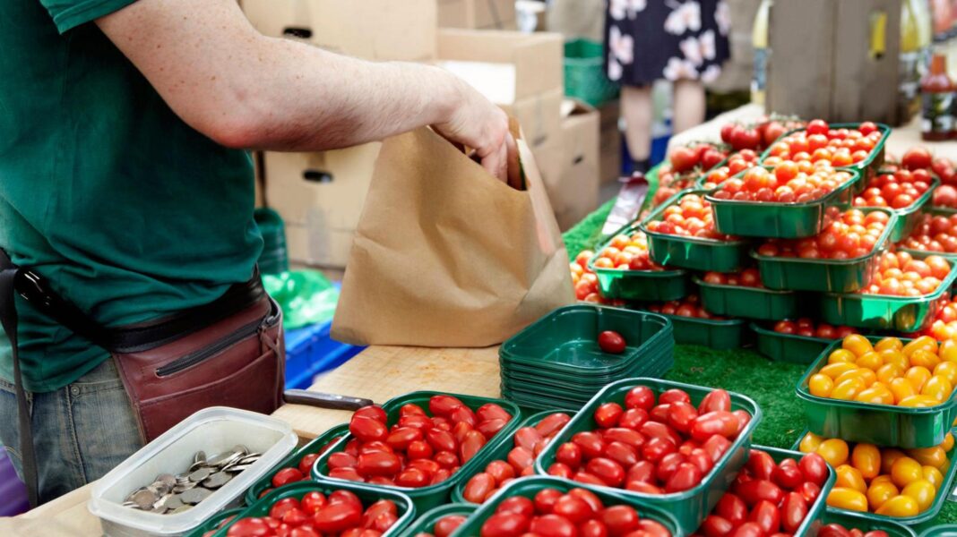 Vegetables to get smaller and more expensive due to hot weather, farmers warn Vegetables to get smaller and more expensive due to hot weather, farmers warn