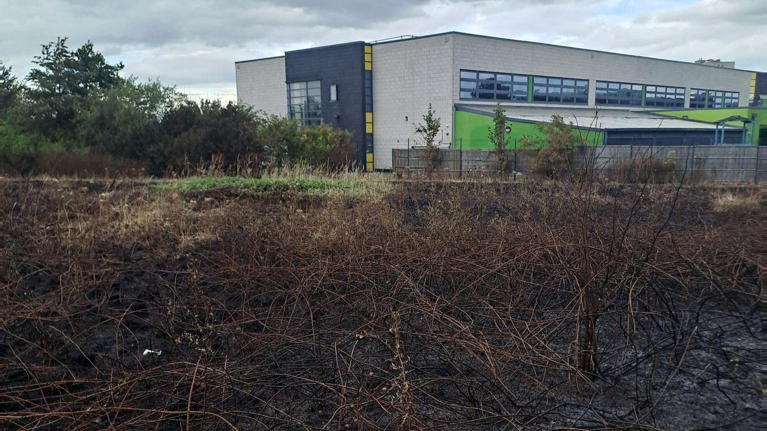 A view across a charred and blackened field. The scorch marks reach up to a fence, separating the field from a large, grey flat-roofed building.