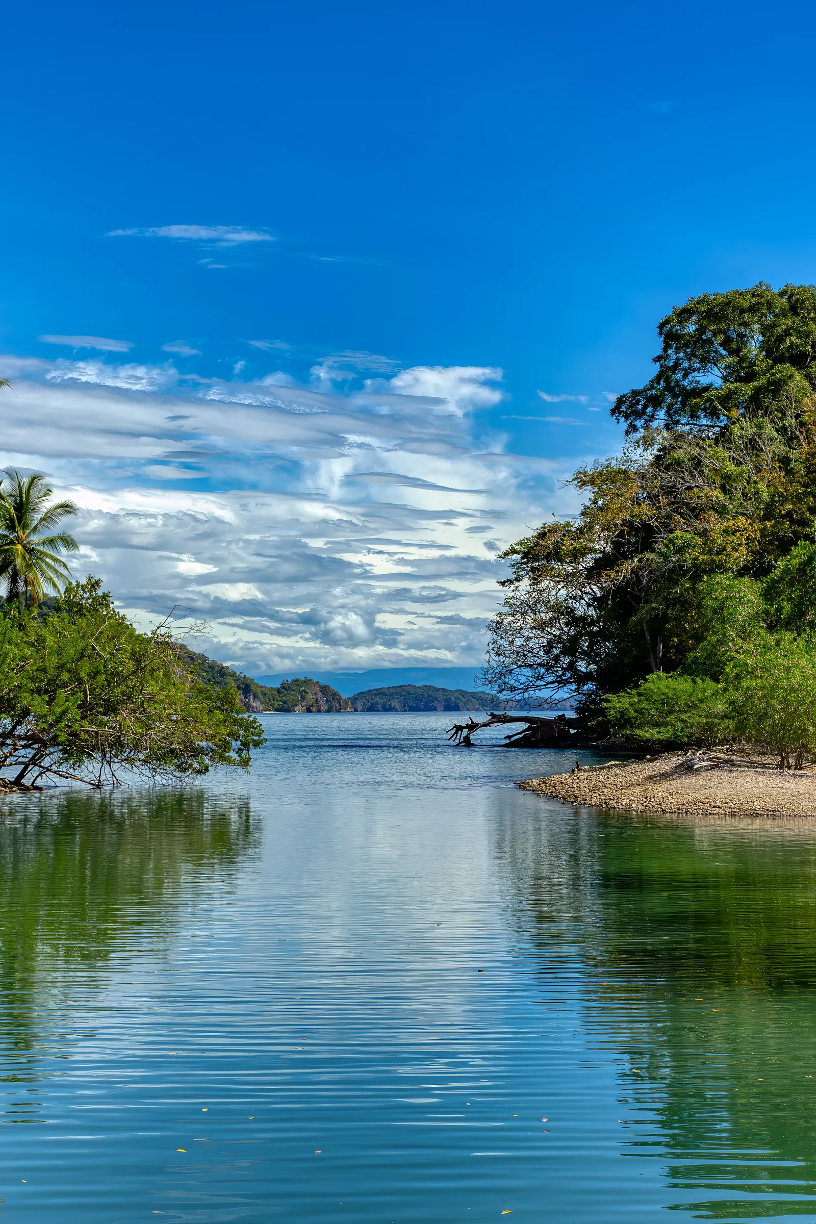 Image may contain Nature Outdoors Scenery Summer Sky Plant Vegetation Lake Water Landscape Tree Land and Horizon