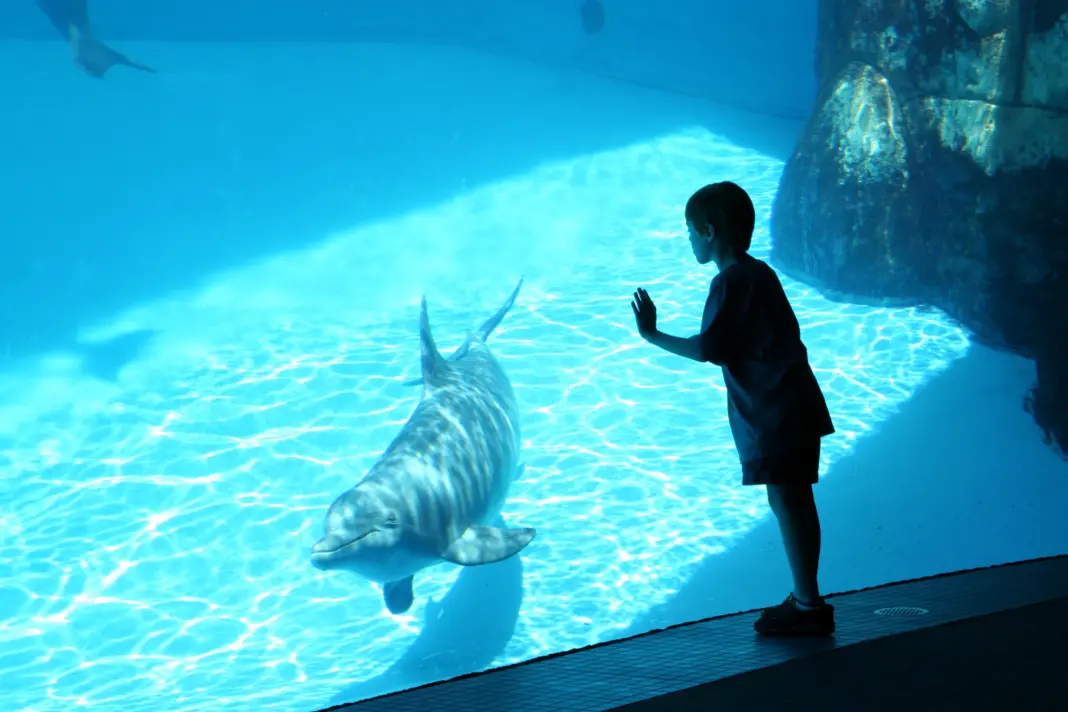 SeaWorld Parks Promo Codes August 2026 | Condé Nast Traveler SeaWorld Parks Promo Codes August 2026 | Condé Nast Traveler