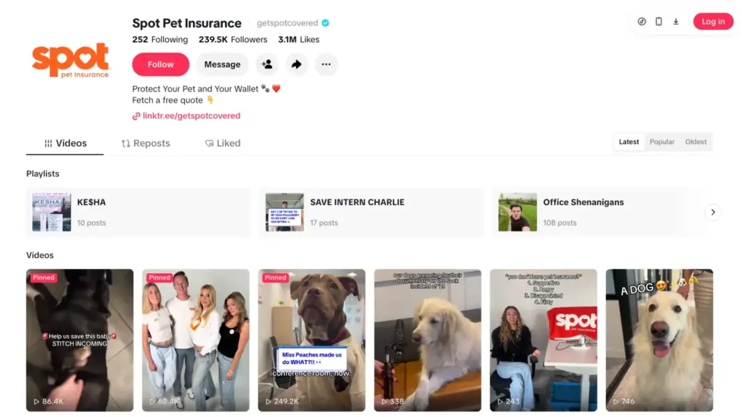 Running TikTok campaigns with impact — missed opportunities that make all the difference Running TikTok campaigns with impact — missed opportunities that make all the difference