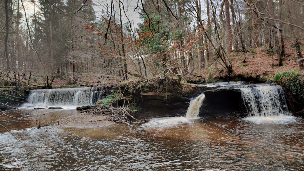 Two small waterfalls flow into a river. Nearby trees are bare and the sky is grey