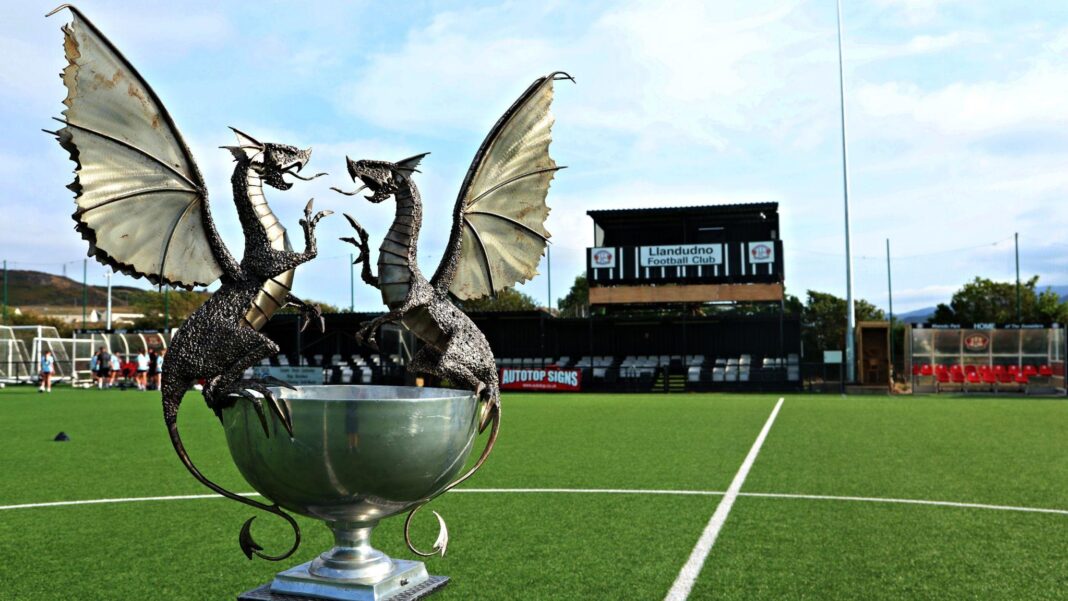 Cymru Premier games to be shown live by BBC Wales Cymru Premier games to be shown live by BBC Wales