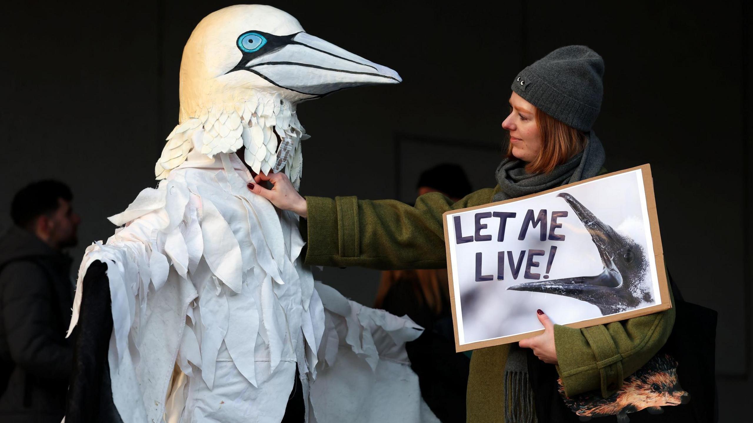A campaigner wearing winter clothing and holding a sign showing an image of a gannet chick with its mouth open and the words "Let me live" stands next to a person dressed as a gannet.