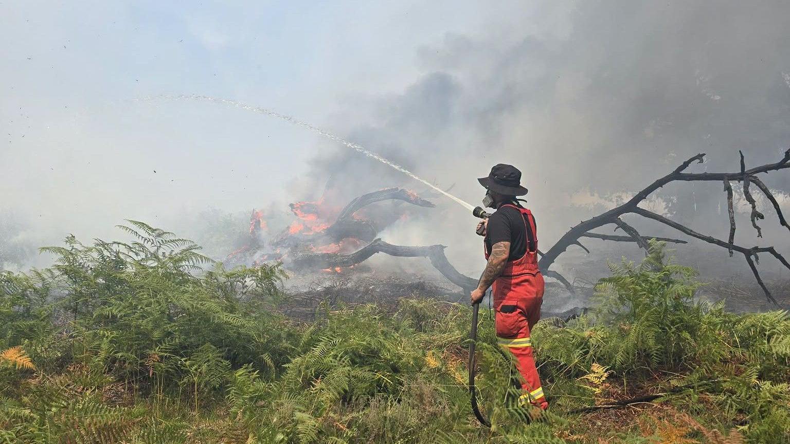 A firefighter standing in a field wearing protective clothing and holding a fire hose. They are facing away from the camera and a wildfire burns in the background. A tree is lying on its side and in flames and there are large plumes of smoke in the air.