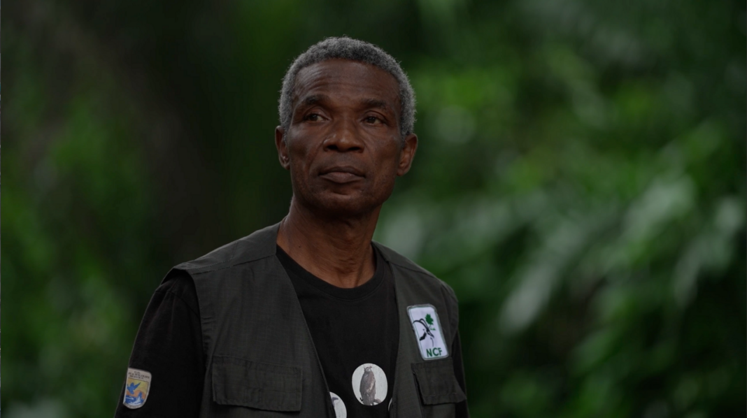 Vultures are disappearing in Nigeria – but the ‘Vulture King’ is fighting to reverse the trend Vultures are disappearing in Nigeria – but the ‘Vulture King’ is fighting to reverse the trend
