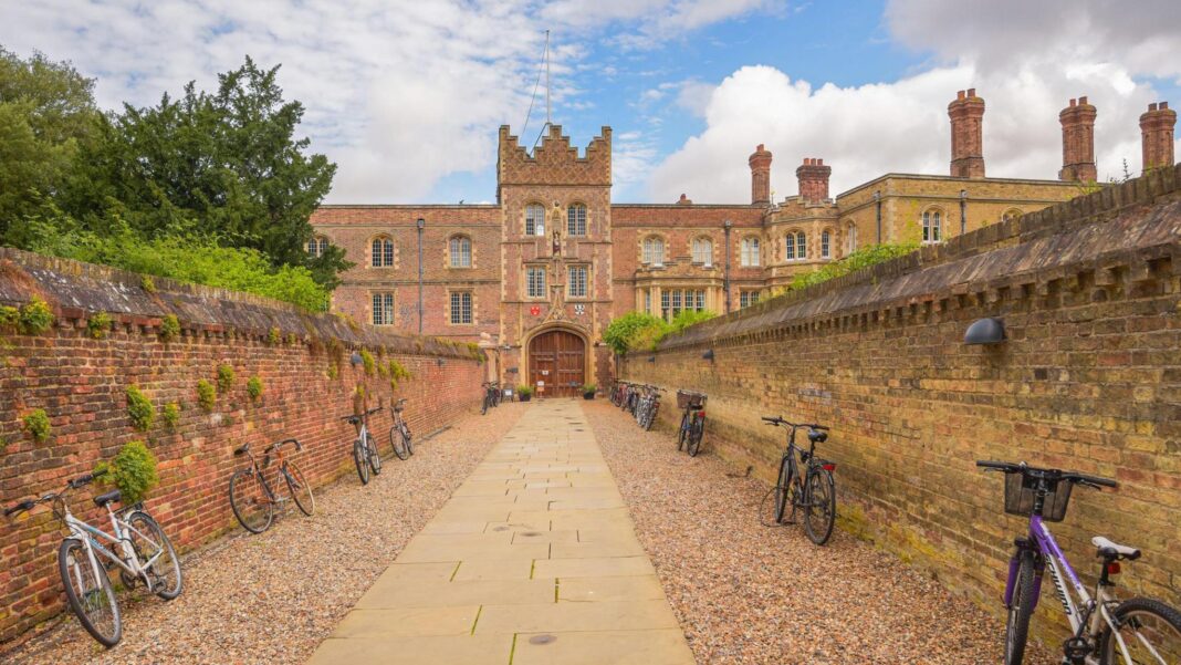 Cambridge professor at centre of plagiarism row resigns Cambridge professor at centre of plagiarism row resigns