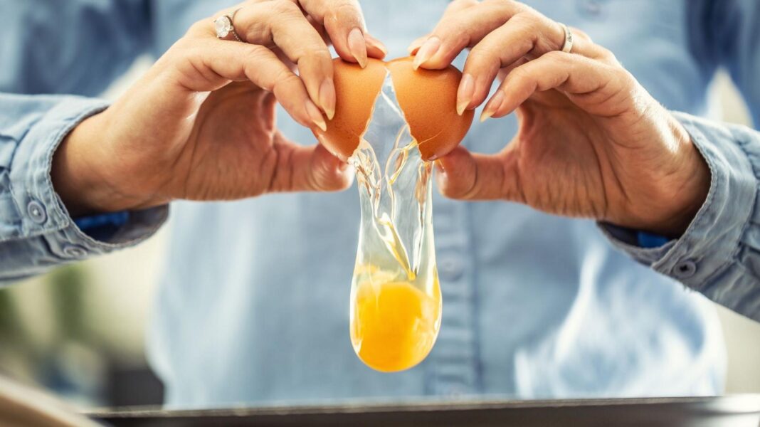 UK salmonella cases nearing 500 as egg investigations continue UK salmonella cases nearing 500 as egg investigations continue
