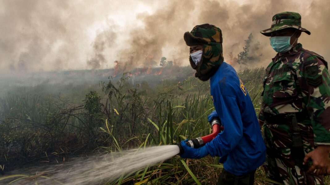 El Niño set to be ‘strongest in living memory’, says Met Office El Niño set to be ‘strongest in living memory’, says Met Office