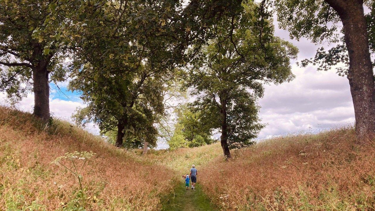 An adult and a child walk along a path under trees which rise up on either side and cloudy skies above