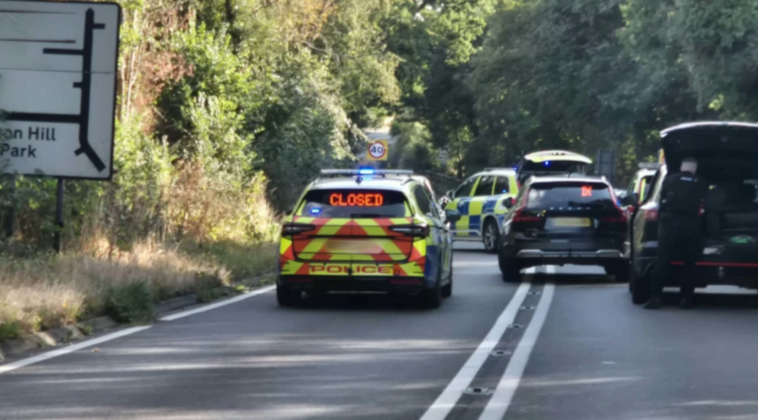 Woman injured in fatal police pursuit crash dies Woman injured in fatal police pursuit crash dies