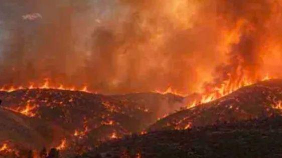Bright orange flames can be seen ripping through a hilly landscape in this eyewitness image, while huge plumes of smoke can be seen in the sky above
