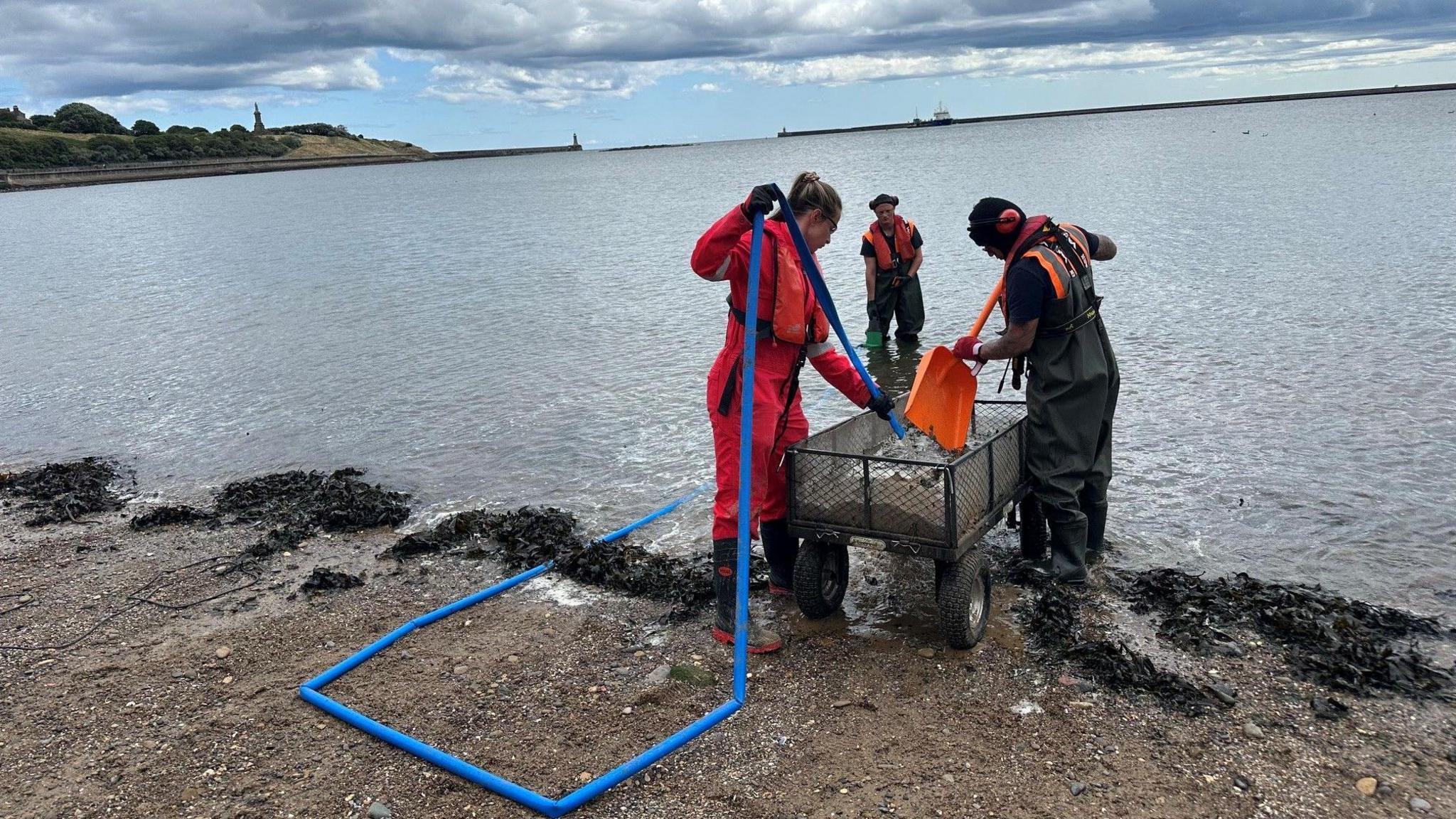 A man and a woman in waterproof overalls sift through plastic pellets inside a metal trailer on the shore in North Tyneside. The man holds an orange shovel and the woman holds a long blue tube. Another man stands in knee-high water looking on. All three are wearing protective equipment.