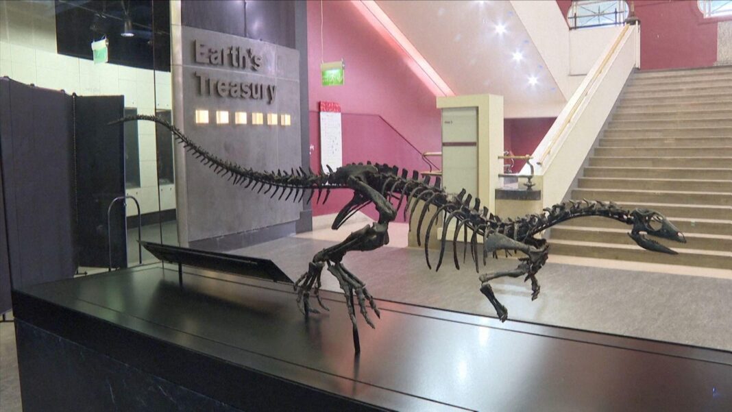 Hidden museum gallery to reopen after 83 years Hidden museum gallery to reopen after 83 years