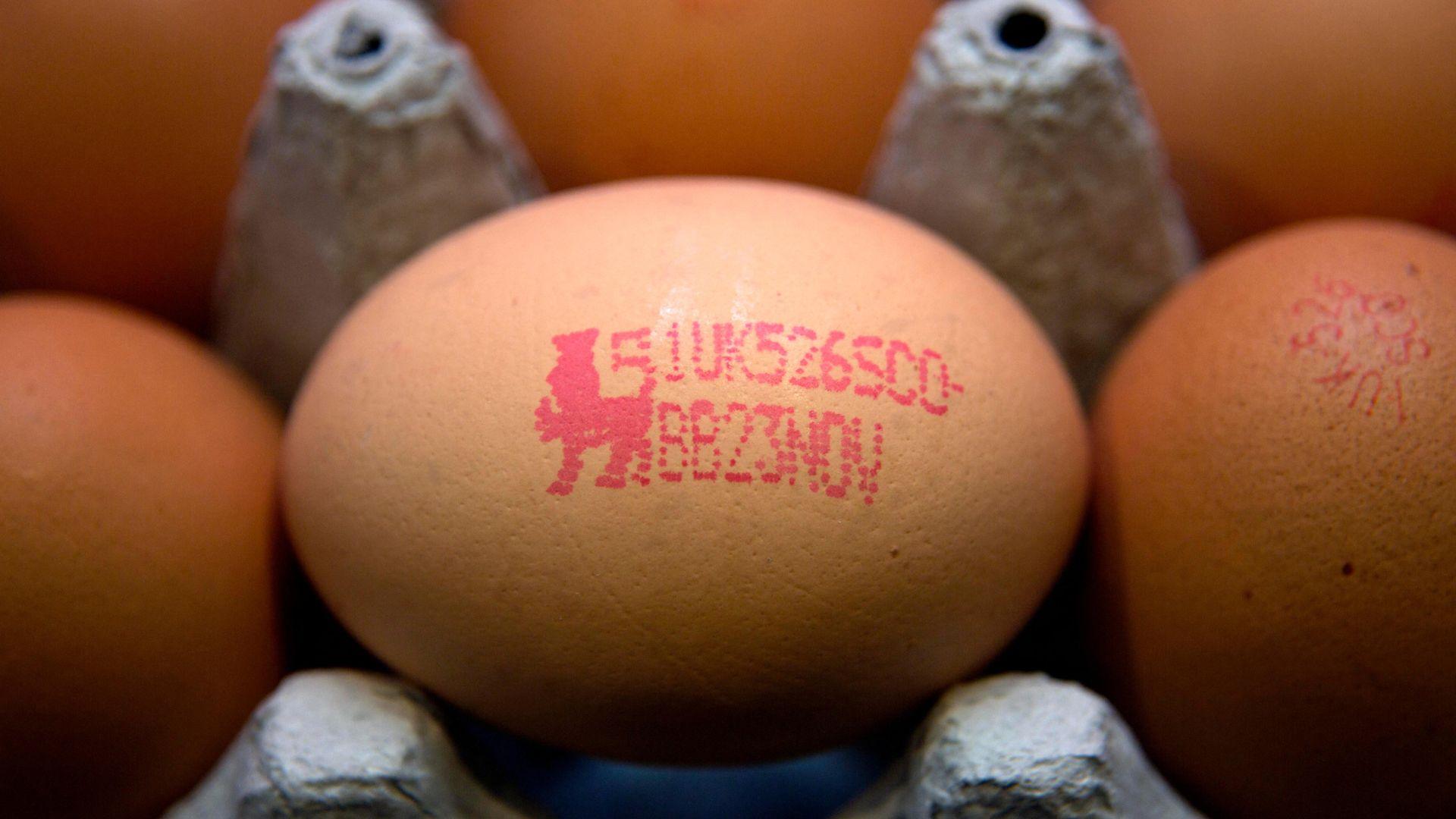 An egg with a British Lion mark on