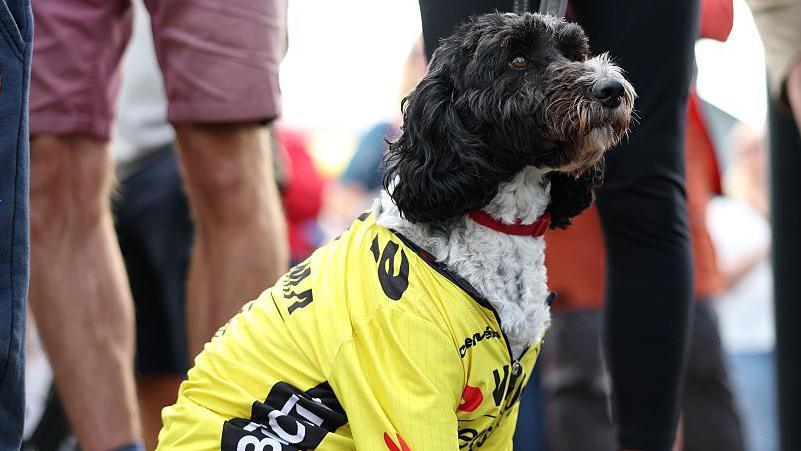 Britain's Imogen Wolffs dog