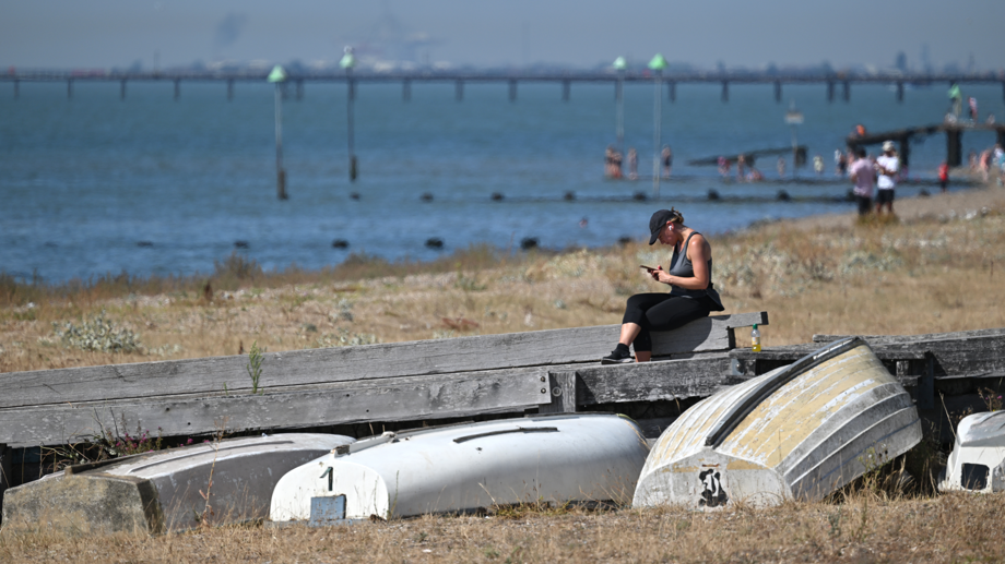 A woman sits in the sunshine by the seaside reading on her phone with the ocean in the background