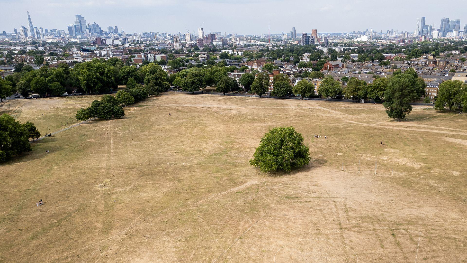 : In this aerial view, dried grass is seen on Peckham Common on July 23, 2026 in London, United Kingdom.