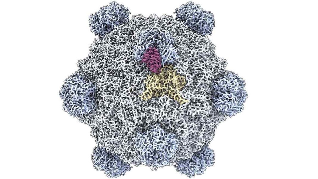 AI creates first synthetic viruses AI creates first synthetic viruses