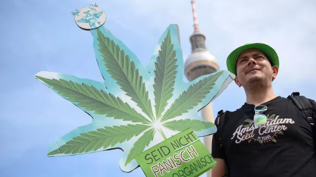 Germany becomes Europe’s largest regulated cannabis market Germany becomes Europe’s largest regulated cannabis market