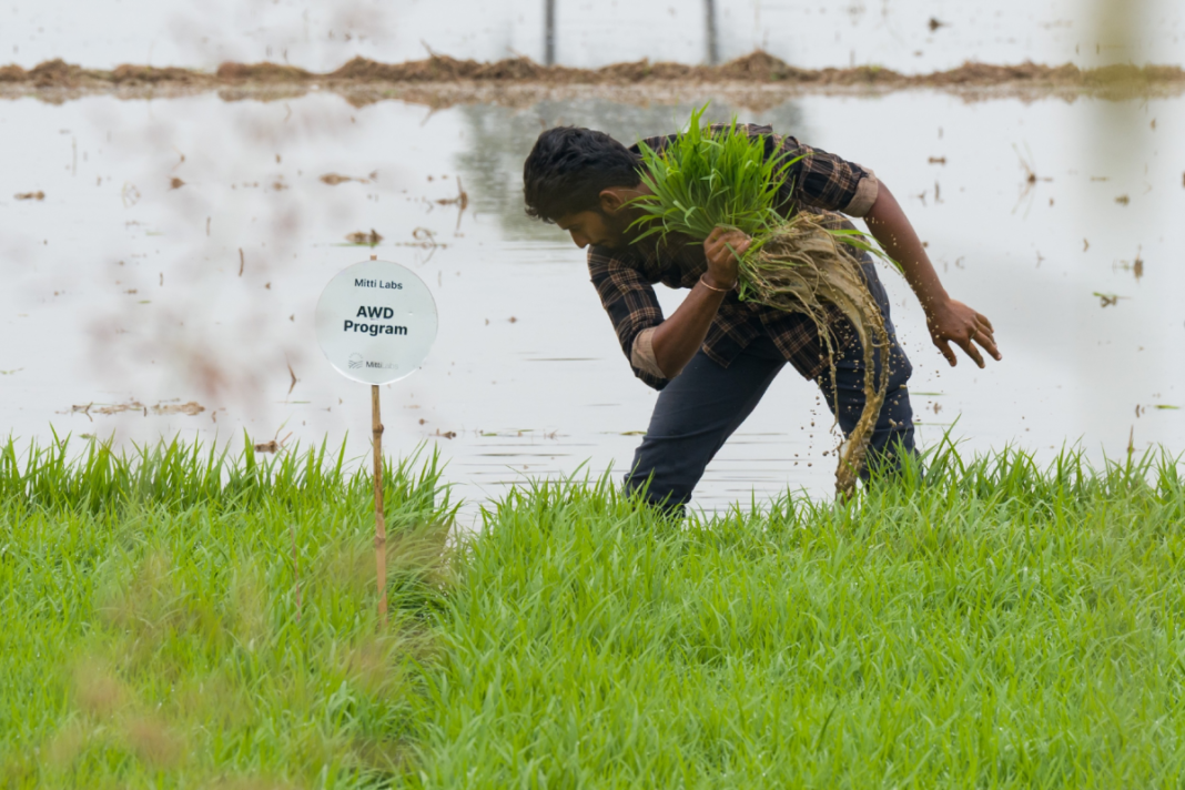 Saudi Aramco backs India’s Mitti Labs to make Asia’s rice farming more water-resilient Saudi Aramco backs India’s Mitti Labs to make Asia’s rice farming more water-resilient
