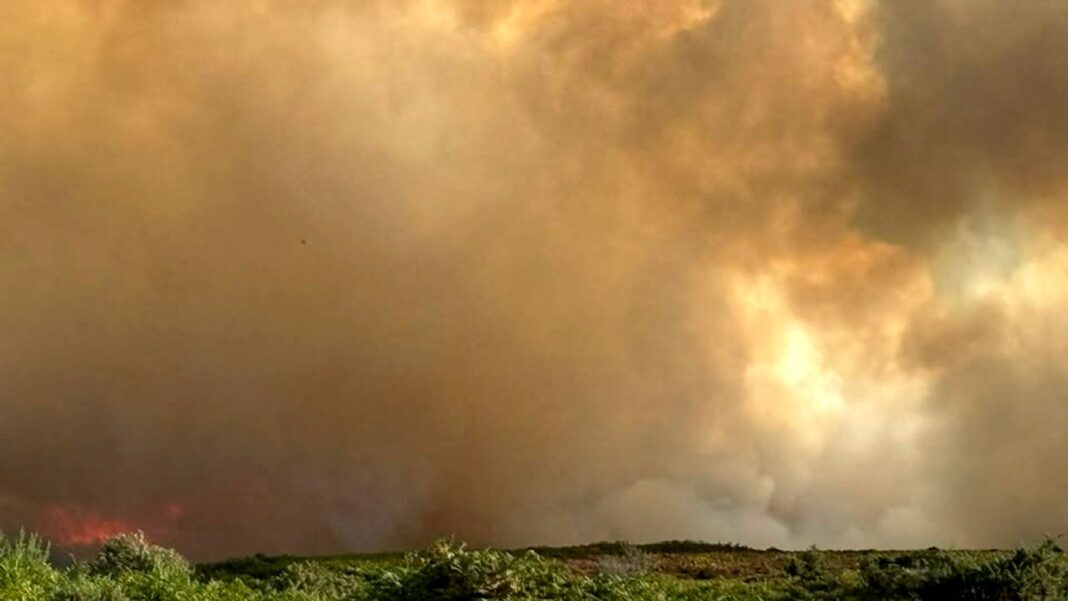 Crews tackle major fire on protected heathland in the New Forest Crews tackle major fire on protected heathland in the New Forest