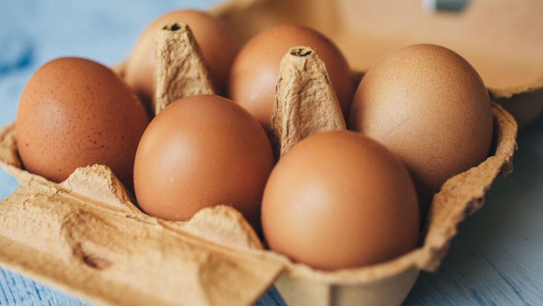 Rise in UK salmonella cases linked to imported eggs Rise in UK salmonella cases linked to imported eggs