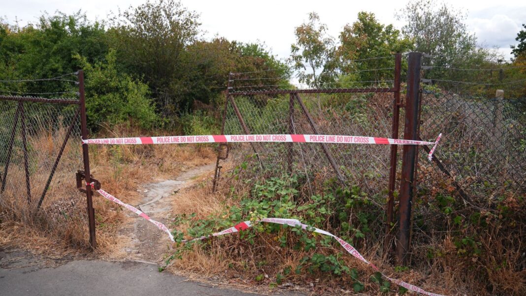 Murder investigation under way after human remains found in woodland Murder investigation under way after human remains found in woodland