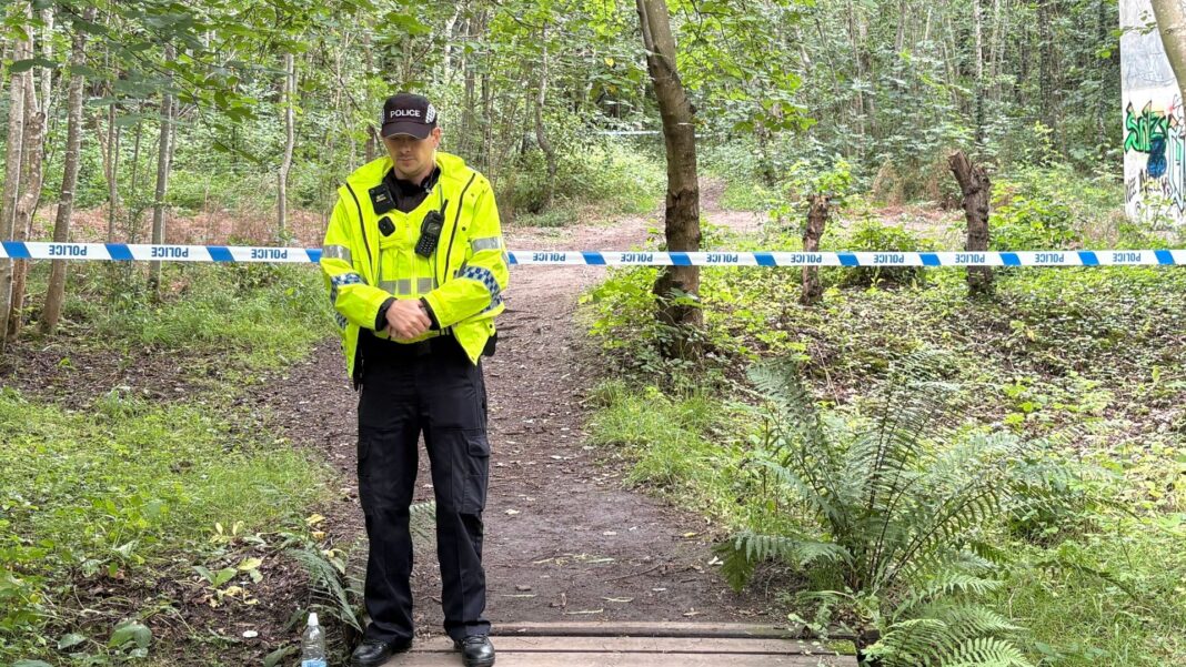 Body of schoolgirl, 11, found in woodland river Body of schoolgirl, 11, found in woodland river