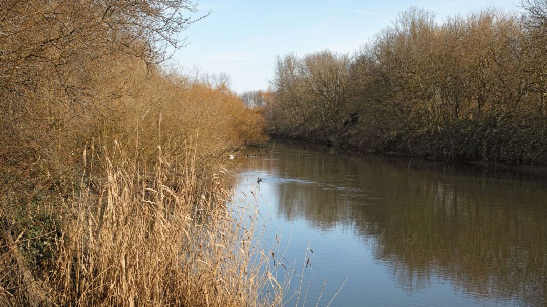 ‘Unimaginable loss’ as boy, 12, drowns after entering river ‘Unimaginable loss’ as boy, 12, drowns after entering river