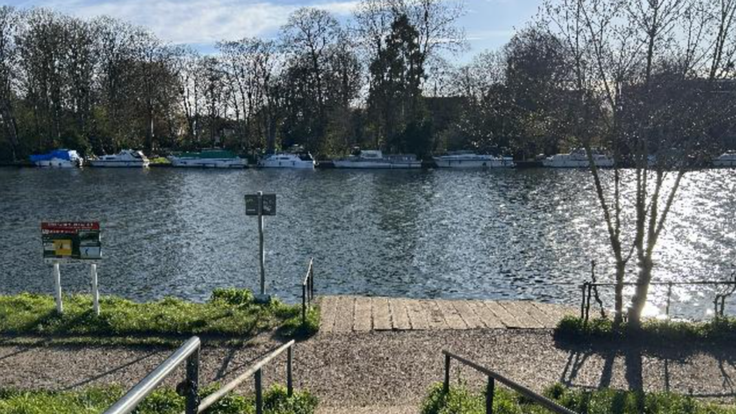 Swimmers told to avoid London’s only Thames bathing spot due to ‘toxic algae’ Swimmers told to avoid London’s only Thames bathing spot due to ‘toxic algae’