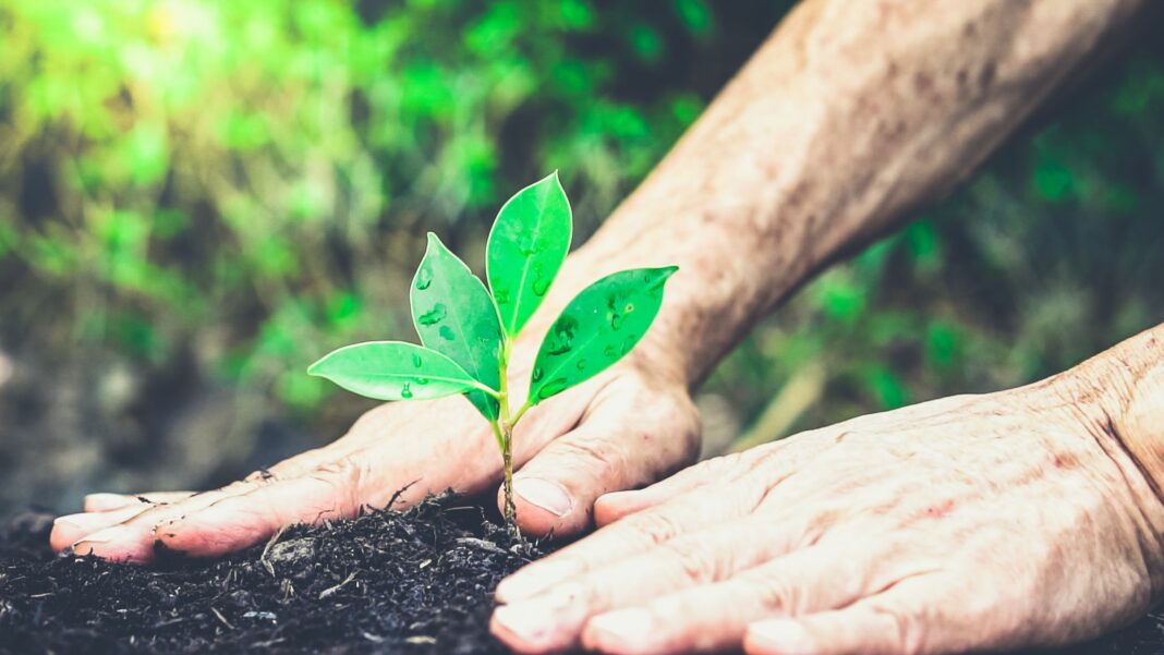 The case for investing in small caps The case for investing in small caps