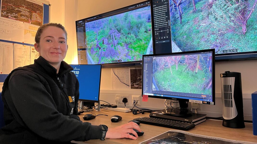 Inside Scotland’s wildcat HQ – ‘It’s like Big Brother for cats’ A woman smiles sitting at a desk in front of a bank of screens showing the locations of wildcats. She has one hand on a computer mouse.