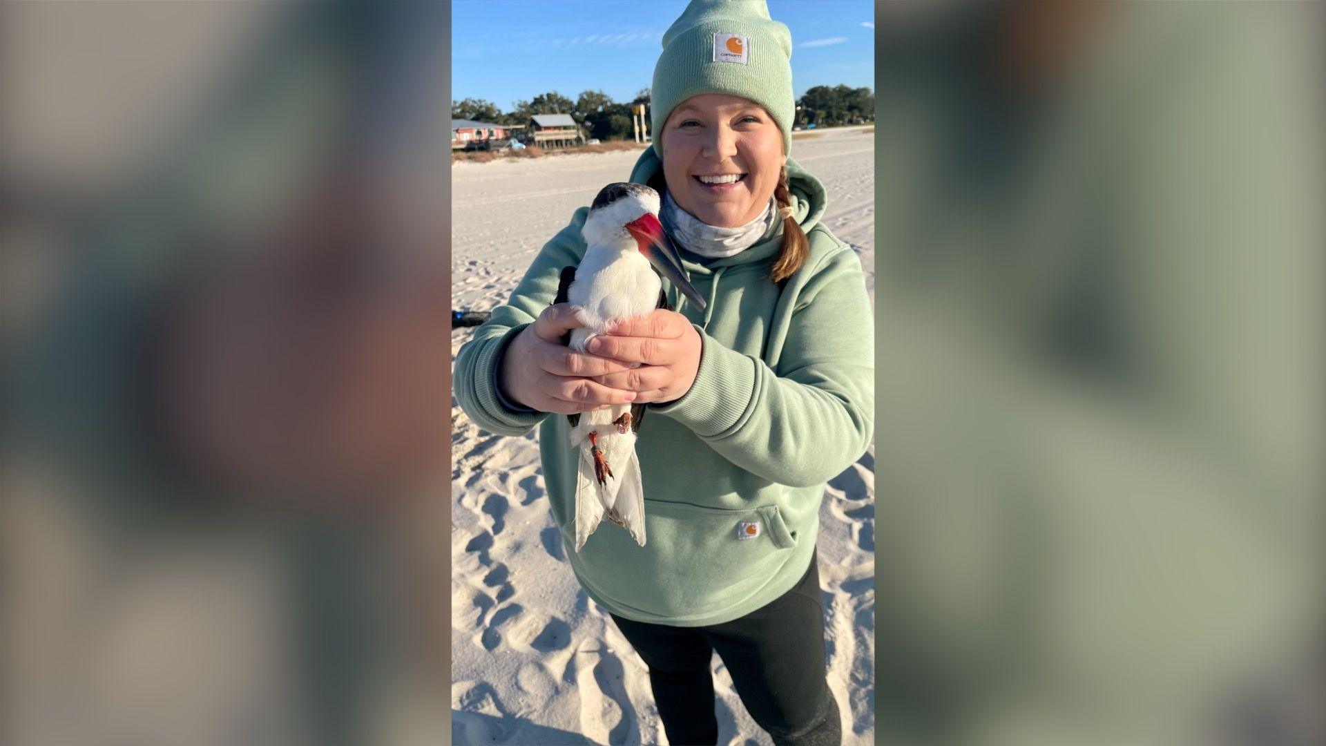 Wildlife biologist Brittney Brown holding a bird on a beach. She is a white woman and is wearing a green sweatshirt and a green hat.